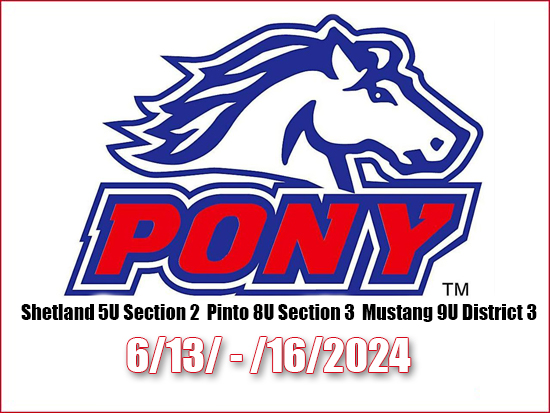 Pony Section 2 & 3 Section 2024